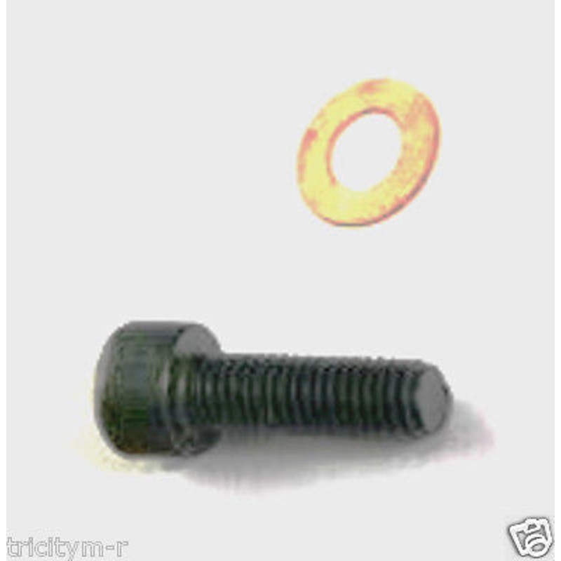 HL012100AV Campbell Hausfeld Oil Drain Plug With Sealing Ring