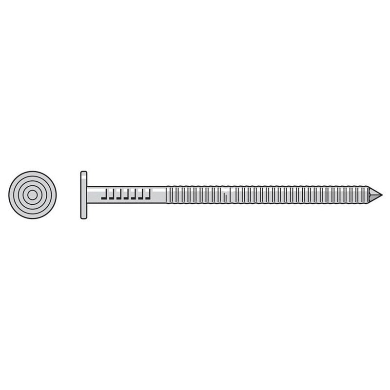 Simpson T8AKR1 Strong-Tie Premium Common Nail for Exterior Applications (1 lb)